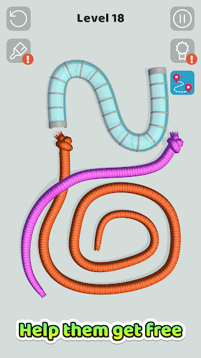 Tangled Snakes_2