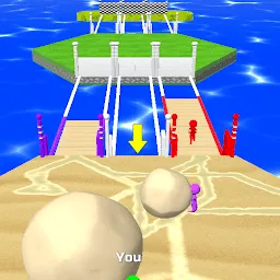 Bridge Race